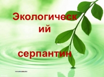 Урок-игра по экологии на тему Звездный час