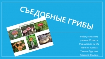 Презентация по биологии на тему Съедобные грибы. ( 6 класс)