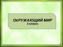 Презентация по окружающему миру Развитие рыб и земноводных