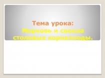 Презентация к уроку сельскохозяйственный труд 6 класс. Тема:  Свекла и морковь столовые корнеплоды.