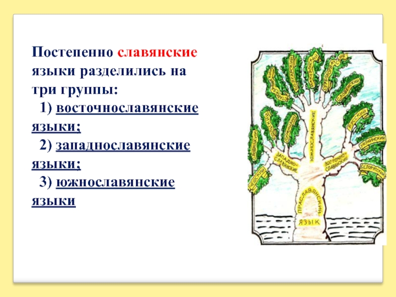 Западнославянская группа языков