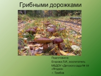 Презентация к НОД Грибными дорожками