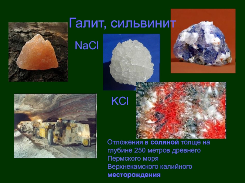 Галит, сильвинит Отложения в соляной толще на глубине 250 метров древнего Пермского моря Верхнекамского калийного месторождения KClNaCl