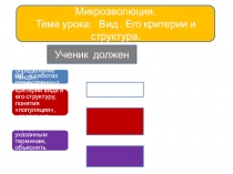 Презентация к уроку Вид, его критерии и структура