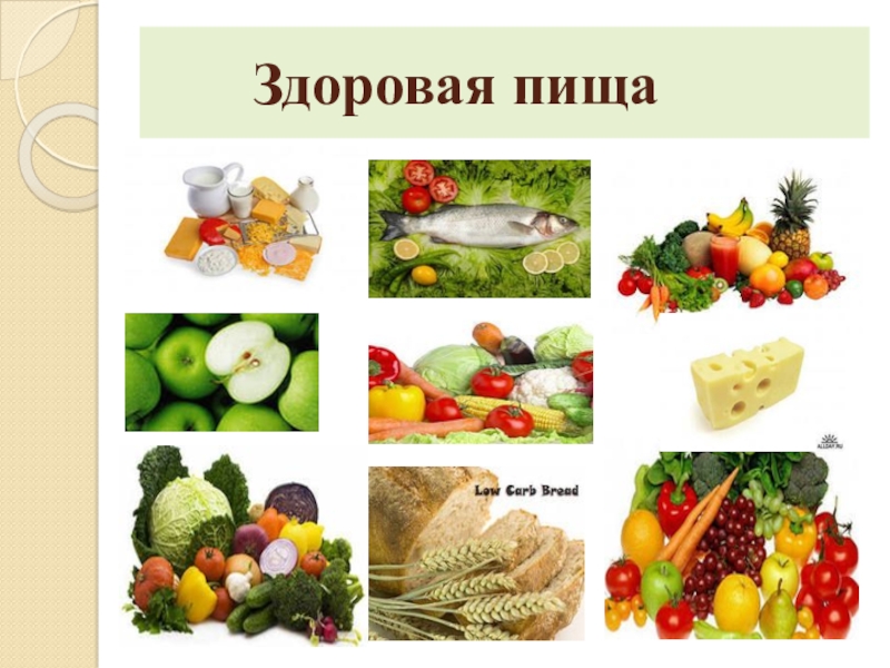 Проект продукты которые вредны