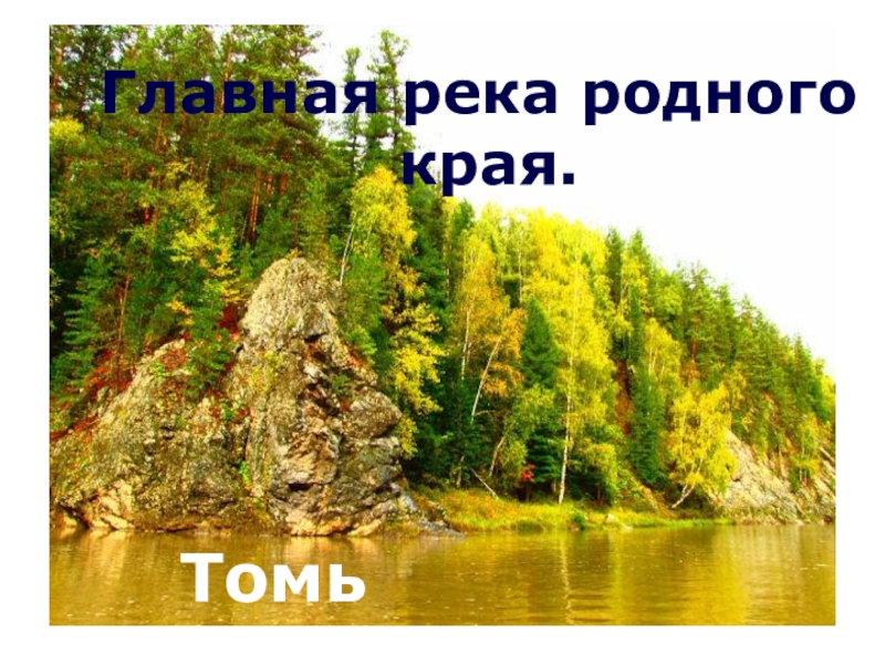 Природа кузбасса презентация