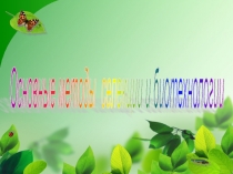 Презентация по биологии на тему:Основные методы селекции