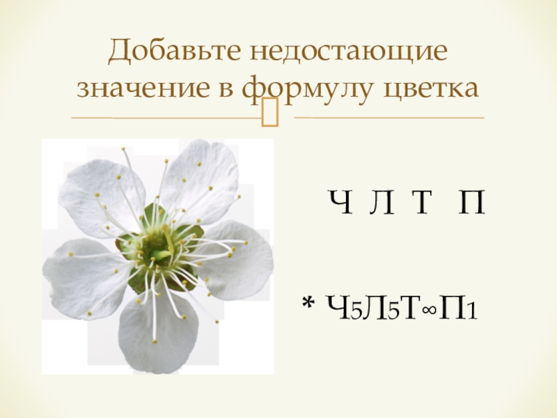 Ч5 л5 т бесконечность п бесконечность. Формула цветка ч5л5т бесконечность п1. Формула цветка ч5л5т п1. Формула цветка ч5л5т5п1 соответствует. Формула цветка ч5 л5 т8 п8.