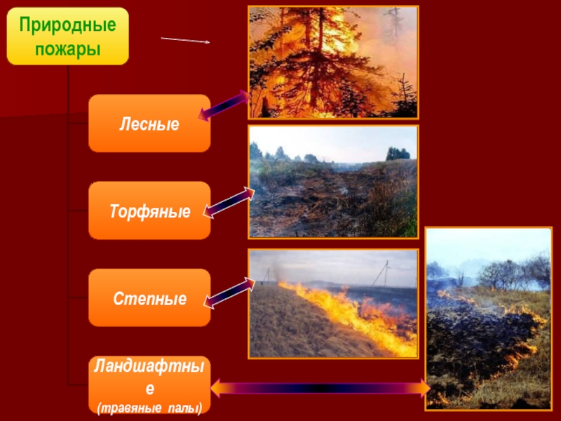 Природные пожары виды. Способы борьбы с природными пожарами. Природный торфяной пожар причины. Природные опасные явления Лесные и торфяные пожары. Природные пожары подразделяются на Лесные и степные пожары..