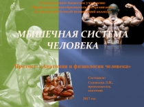 Презентация по анатомии на тему:Опорно-двигательный аппарат. Мышечная система.