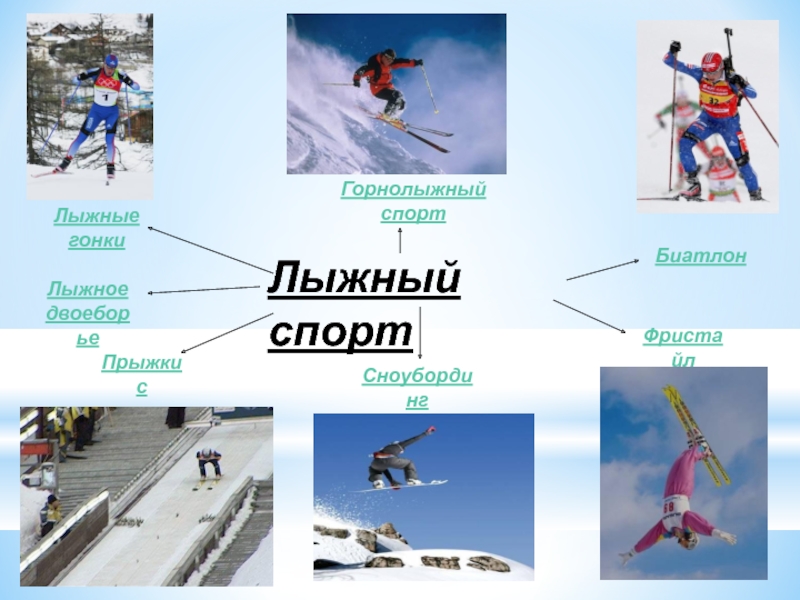 Лыжный спортГорнолыжныйспортЛыжныегонкиПрыжки с трамплинаЛыжное двоеборьеФристайлСноубордингБиатлон