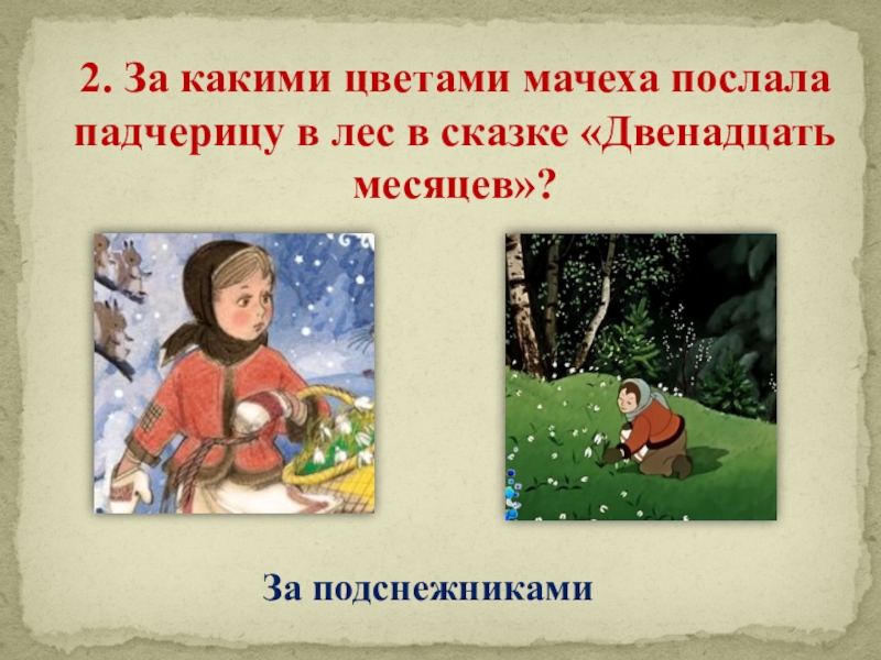 Как звали падчерицу в сказке. По дорогам сказок.