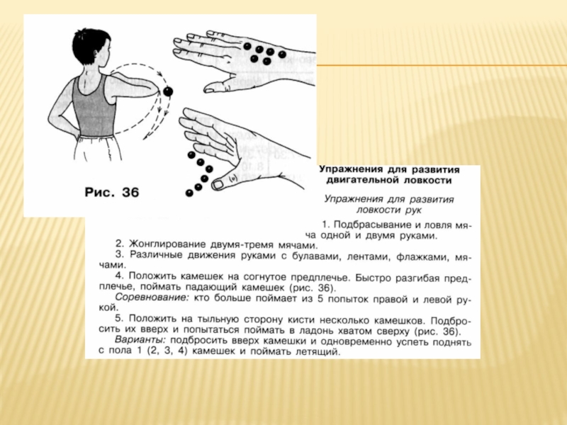 Продолжаем движение руки. Упражнения для ловкости рук. Упражнения на ловкость по физкультуре. Комплекс упражнений на развитие ловкости рук. 3 Упражнения на ловкость.