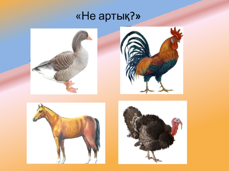 Үй құстары тех карта сөйлеуді дамыту