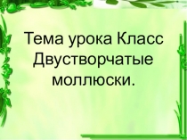 Презентация по биологии на тему Брюхоногие моллюски 7 класс.