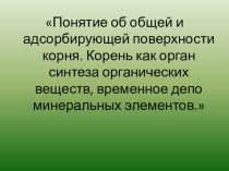 физиология растений