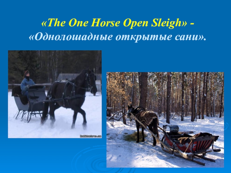 Open the horses