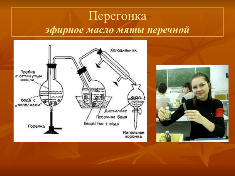 Время в химии проект