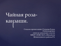 Презентация к занятию кружка Чайная роза-канзаши.