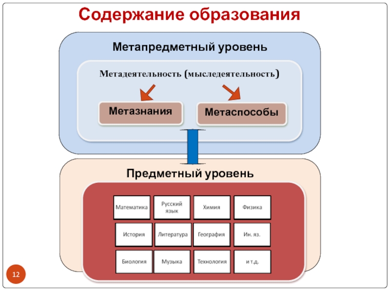 Метапредметный проект это