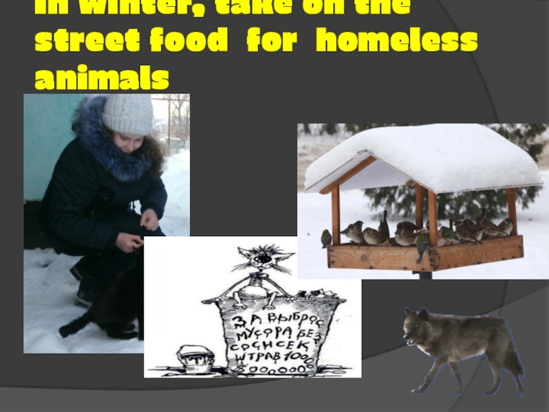 In winter, take on the street food for homeless animals