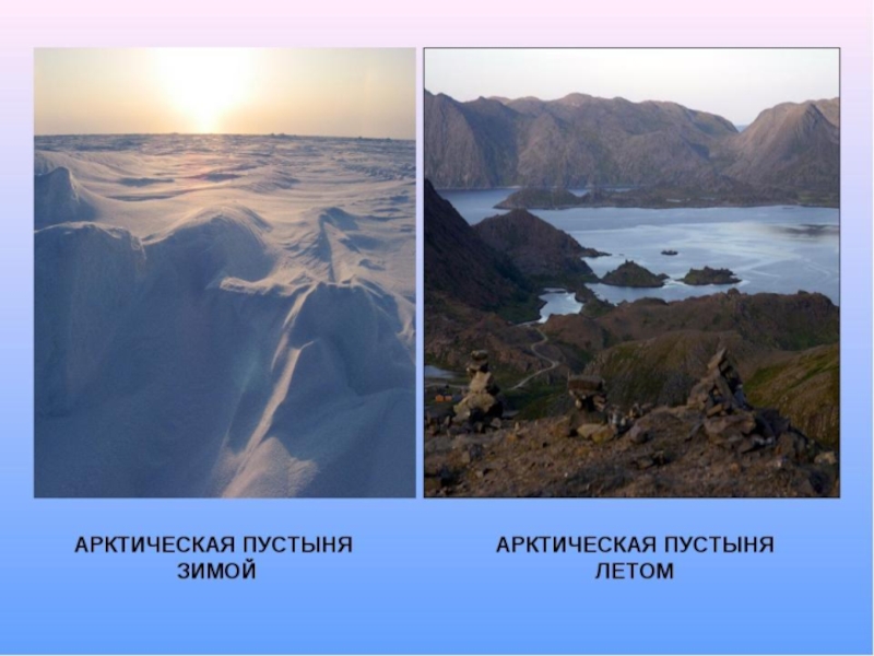 Арктическая тундра осадки. Арктические пустыни зима и лето. Арктическая пустыня и тундра. Арктические пустыни и тундра. Ледяные пустыни и тундры.