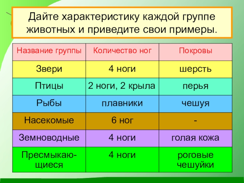 Приведите примеры групп. Дайте характеристику каждой группе животных и приведите свои примеры. Приведи примеры животных каждой группы. Привести примеры животных каждой группы. Приведите свои примеры животных каждой группы.