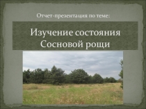 Презентация. Отчет по профильной практике.10 класс.