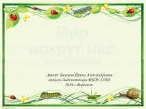 Викторина для младших школьников Мир вокруг нас (насекомые)