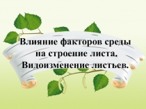 Презентация по биологии на тему Влияние факторов среды на строение листа. Видоизменение листьев.