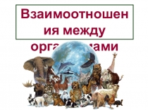 Презентация по теме Взаимоотношения между организмами