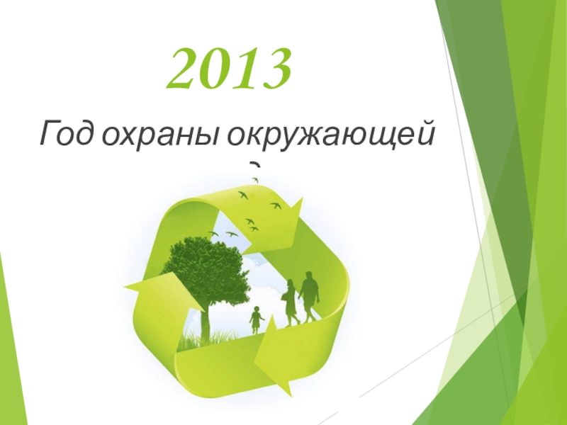 Год охраны окружающей среды2013