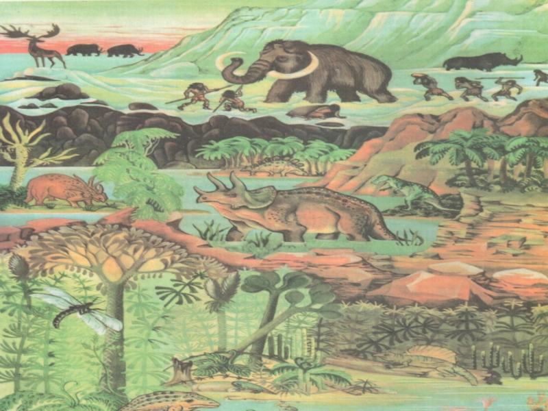 Мезозойская эра 9 класс. Рисунок на тему Мезозойская Эра. Рисунок любой эры. Меловой биоценотический кризис. Наугольных Триасовый период.