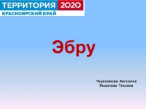 Презентация к социальному проекту Эбру