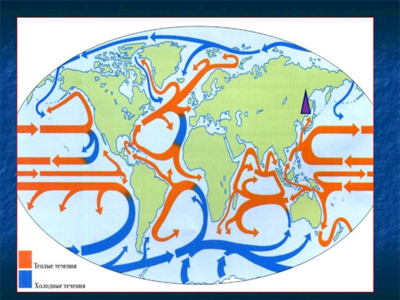 Холодные течения гвинейское. Теплое и Холодное течение. Тёплые и холодные течения. Тёплые и холодные течения на карте. Теплые течения.