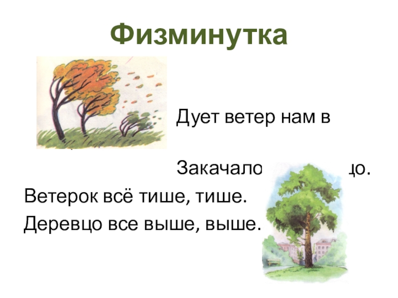 Дует ветер нам в лицо закачалось деревцо. Физкультминутка ветер. Физминутка ветер дует. Физминутка ветер дует нам в лицо. Физминутка о ветре для детей.