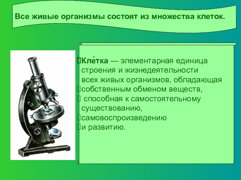 Почему клетку считают живой. Какой учёный открыл существование клеток живых организмов.