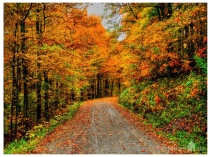 Методическая разработка интегрированного занятия на тему: Осень.