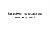 Зат есімнің жекеше және көпше түрлері 4 сынып