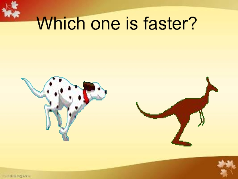 Which one is faster?