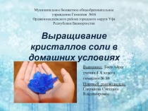 Презентация по окружающему миру Выращивание кристаллов соли в домашних условиях