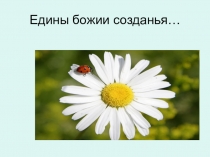 Интегрированный урок по биологии и литературе для 7 класса Едины Божии созданья