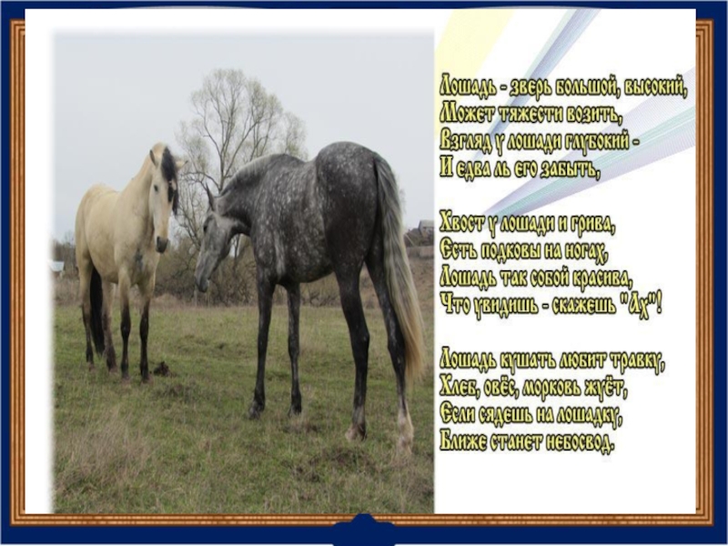 О чём плачут лошади. Ф Абрамов о чём плачут лошади. Фото лошади для презентации. О чем плачут лошади иллюстрация.