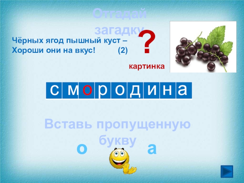 сонаирЧёрных ягод пышный куст – Хороши они на вкус!     (2)