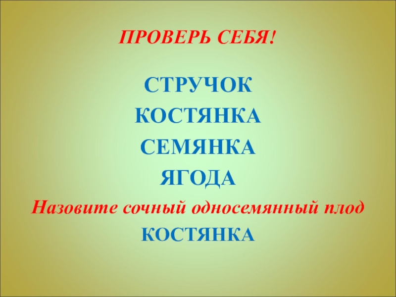 Последовательность рисунков служащая вспомогательным средством для создания фильмов это