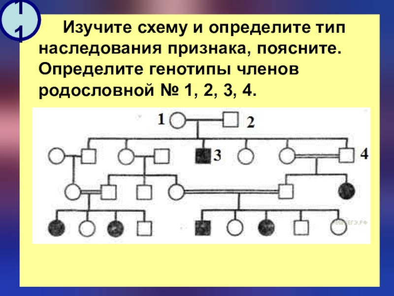 По родословной представленной на рисунке определите характер наследования признака