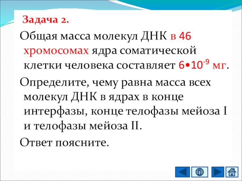 Количество масса в днк. Определить массу всех молекул днк в теле взрослого человека. Общая масса молекул днк в 46 хромосомах. Общая масса всех молекул днк в 46 хромосомах одной соматической клетки. Общая масса всех молекул днк в 46 хромосомах одной соматической.