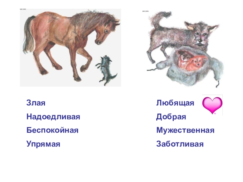 Синквейн про мальку 3 класс. Верный и малька. Верный и малька рисунок. Нарисовать мальку. Стихотворение про мальку.