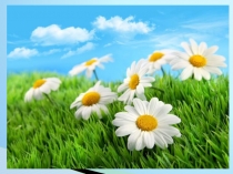 Презентация по русскому языку на тему Имя прилагательное ( 4 класс)