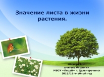 Презентация к уроку Значение листа в жизни растения
